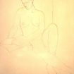colpennude