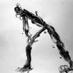 fingerpaint1
